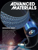 Advanced Materials封面论文：超强碳纳米管用于高能量密度机械能储存